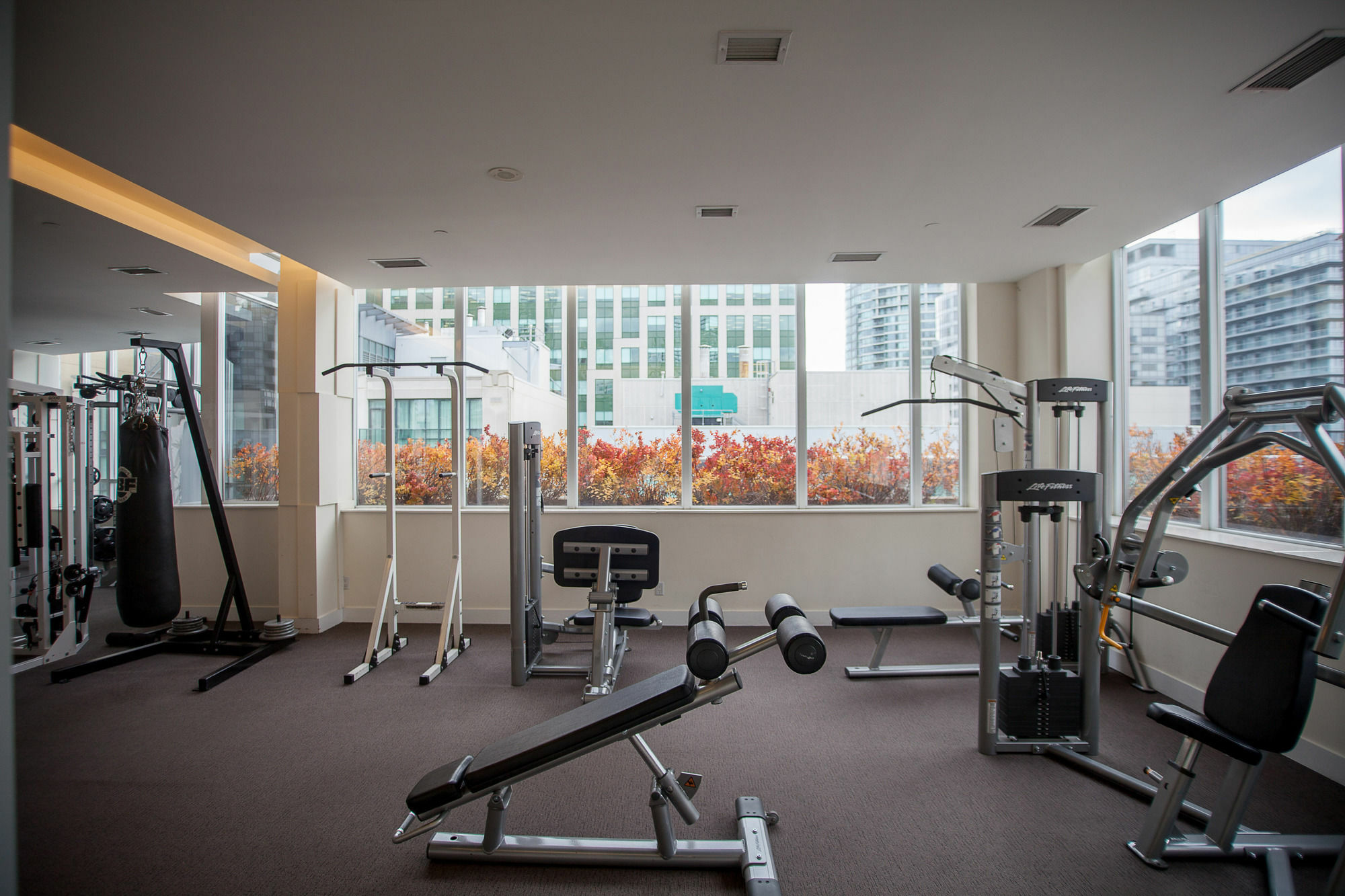 טורונטו Red Maple Suites - Icon מראה חיצוני תמונה